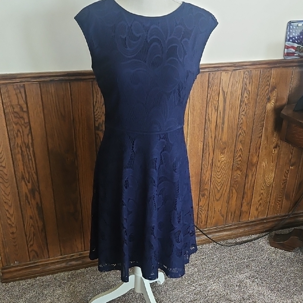 Wisp Navy Lace Dress